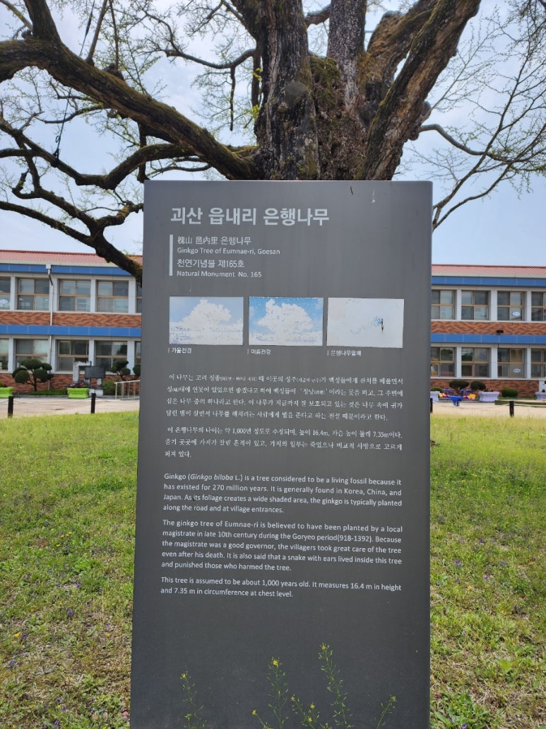 한식촌 이미지