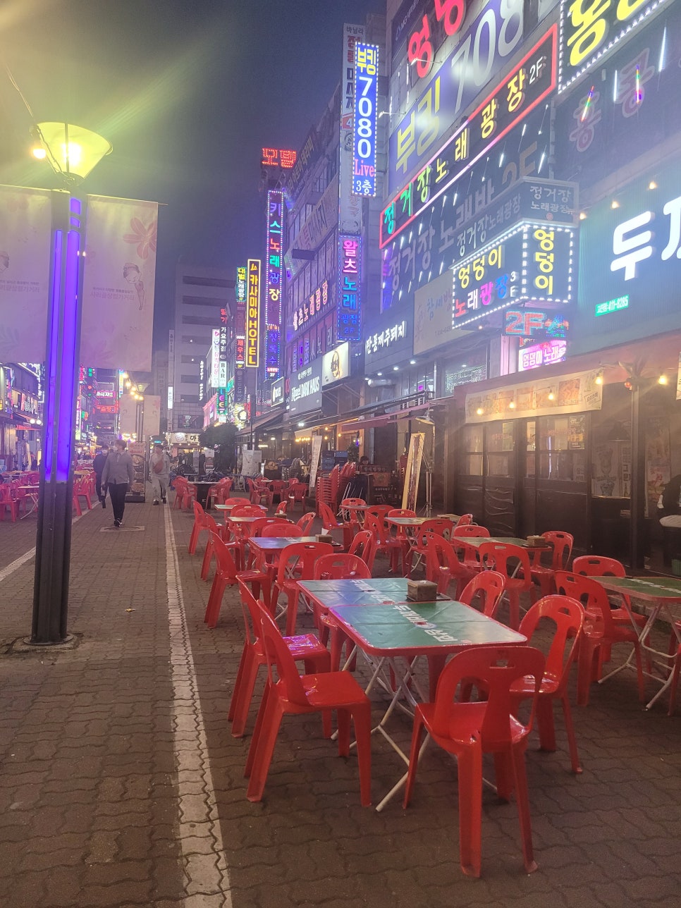탄통제주돼지 이미지