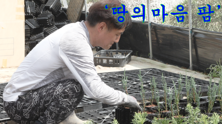 화분팜 이미지