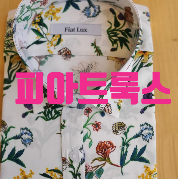피아트룩스 이미지