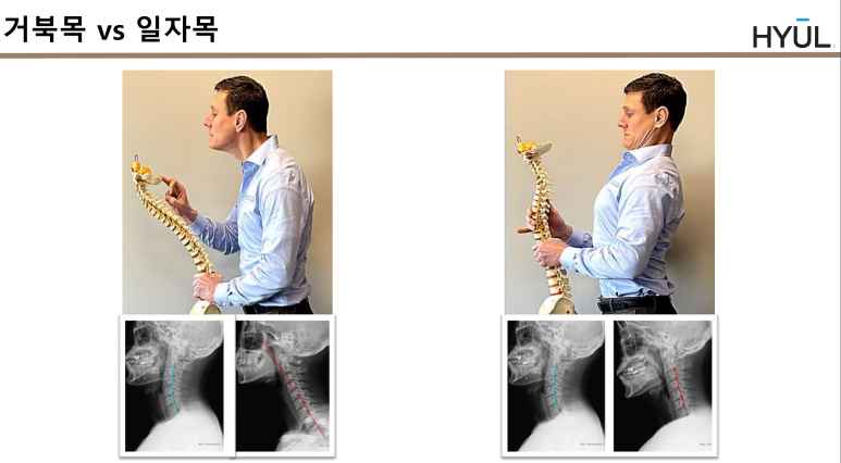 더올바른필라테스 주식회사 이미지