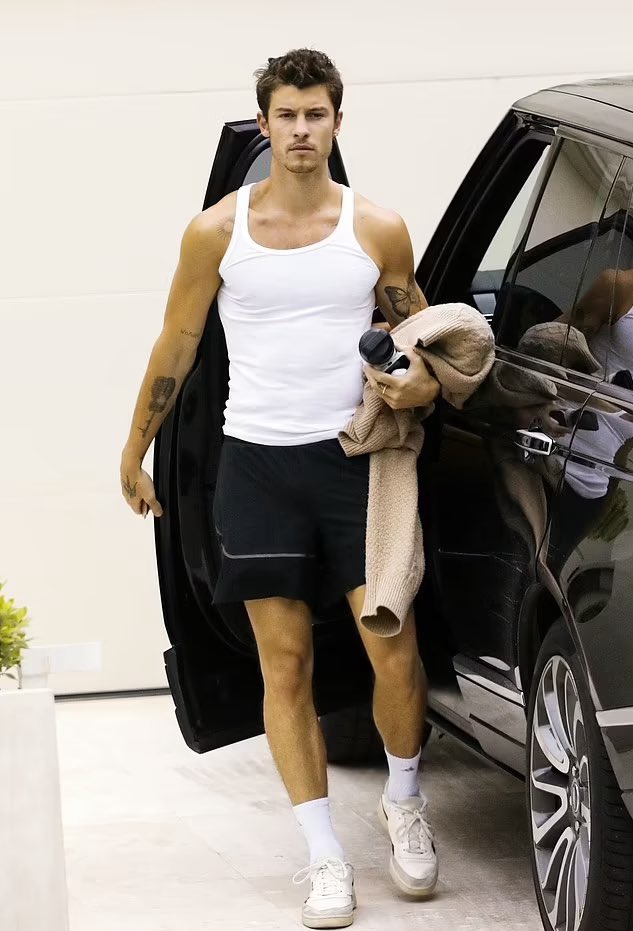 Top Gym 이미지