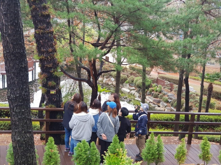 숲과함께 이미지