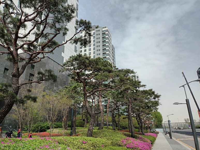 정순부동산 이미지