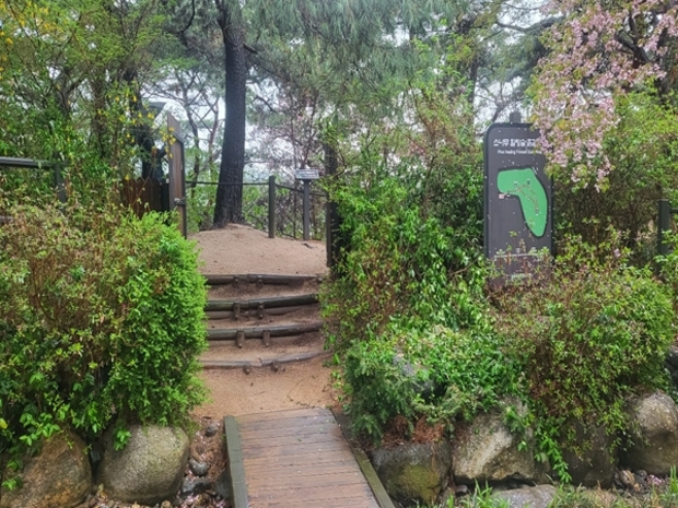 힐링숲 이미지
