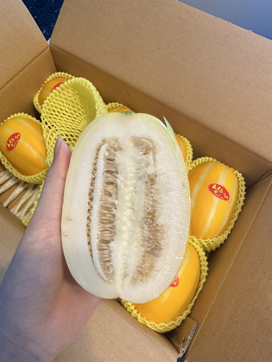 푸룻한세상 이미지
