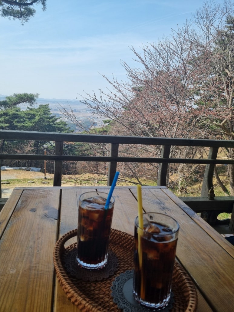 센트로렌트카 이미지