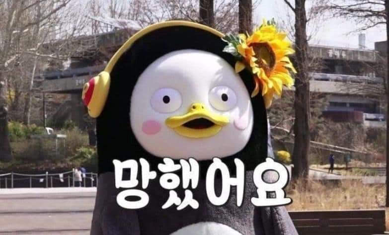 메디슨 벨 이미지