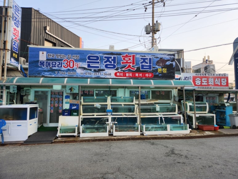 감포은정횟집 이미지