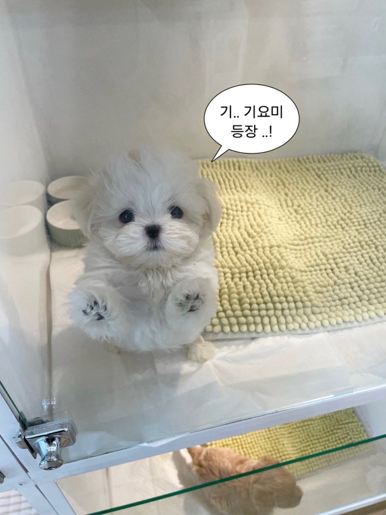 만나스토리 이미지