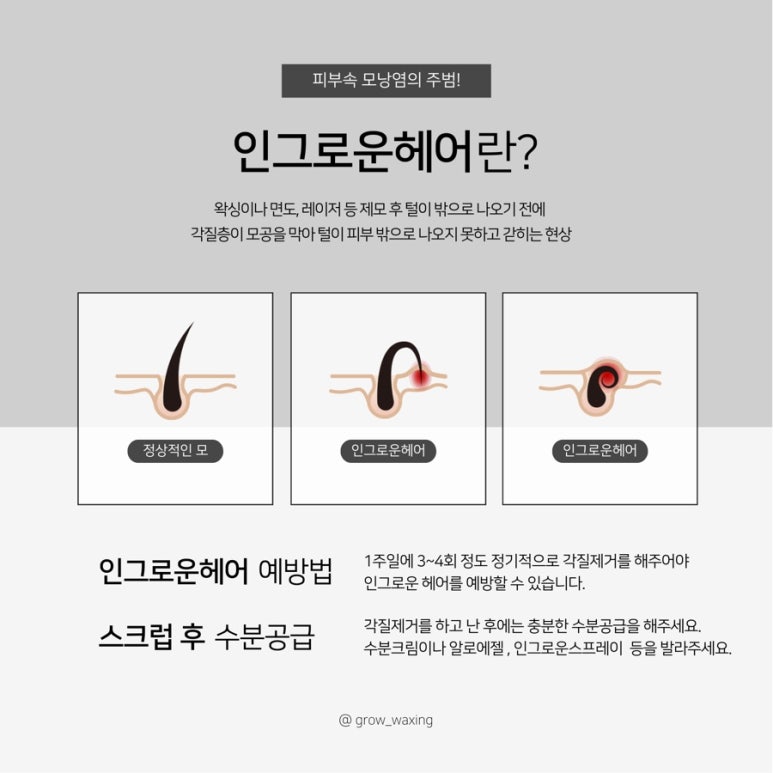 그로우왁싱&뷰티 이미지