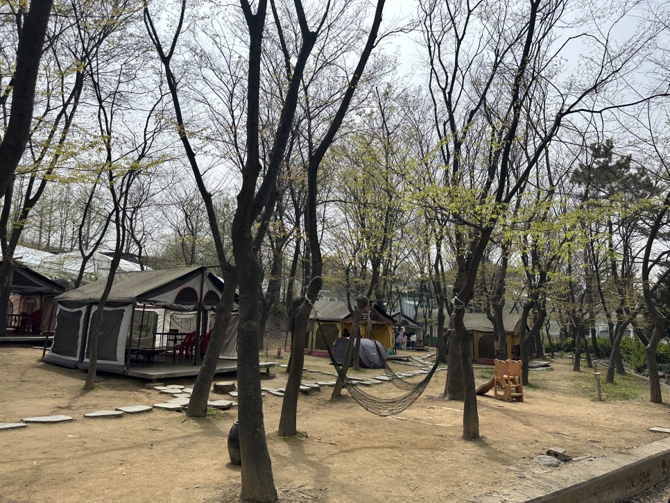 광명한우타운식당 이미지