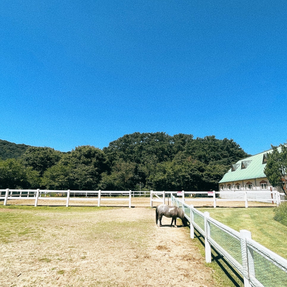 (주)드림스페이스 이미지