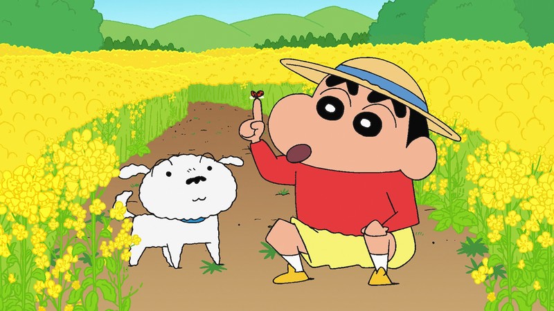 정원운수 이미지