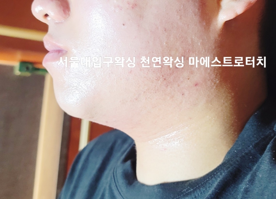 마에스트로컴 이미지