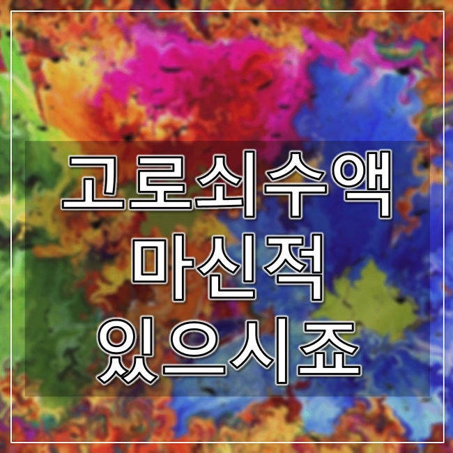 디우리 이미지