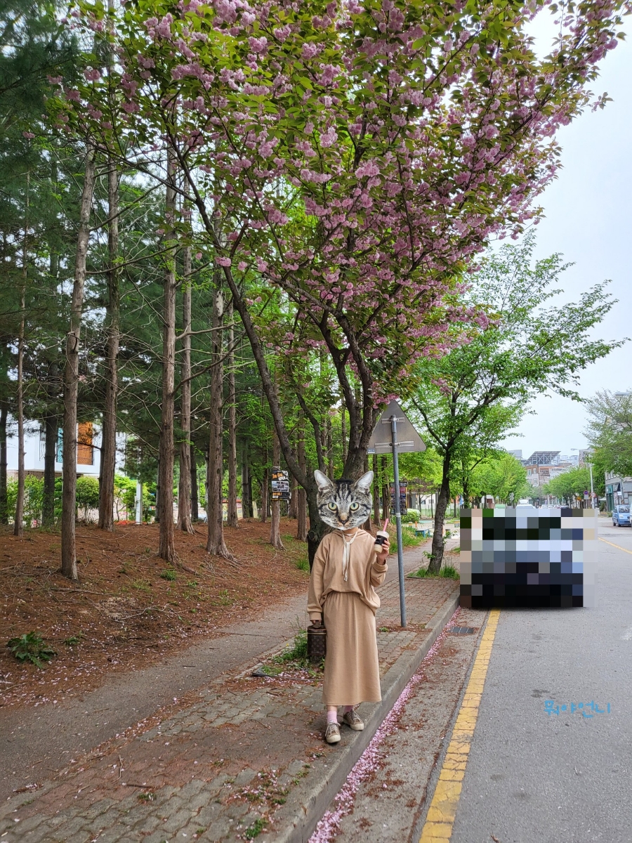 쉼표앤카페J 이미지