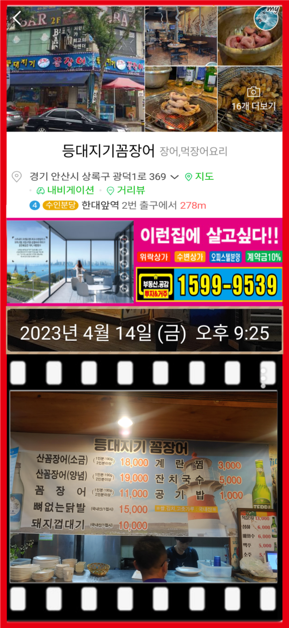 등대지기꼼장어 이미지