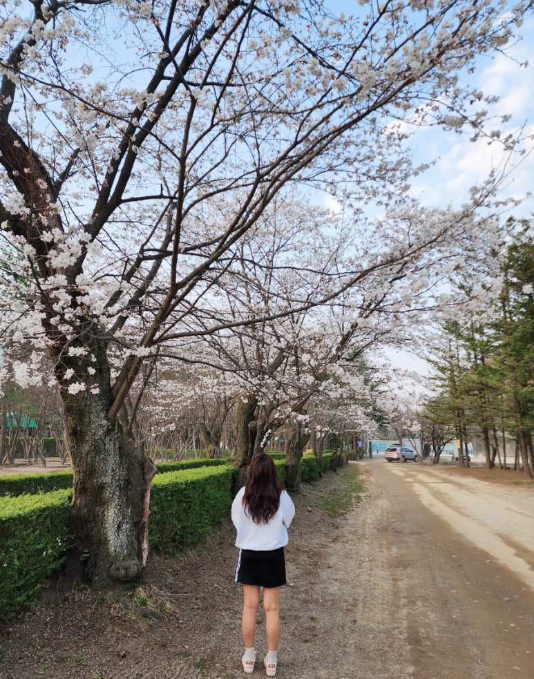 (주)금원 이미지