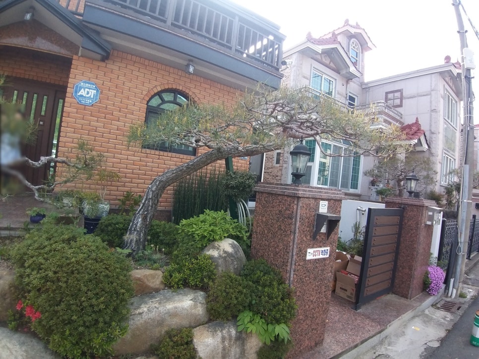 진영아이나비 이미지