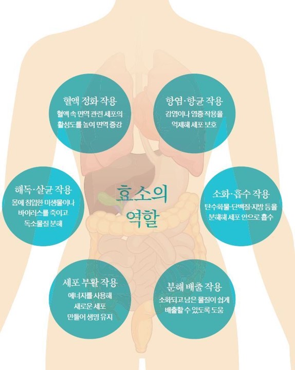 채이은 이미지
