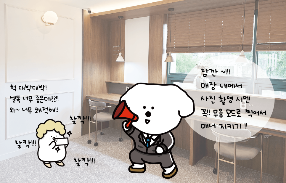 셀독24 이미지