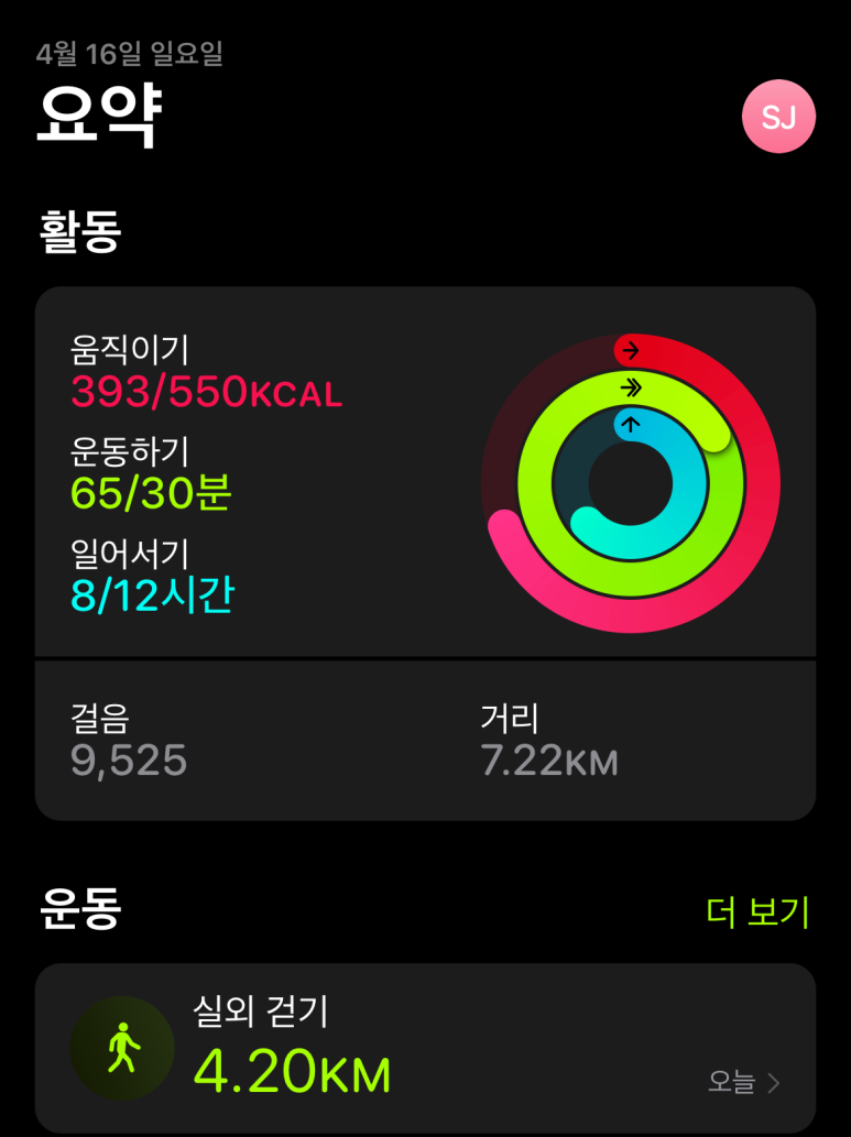 네일라움 이미지