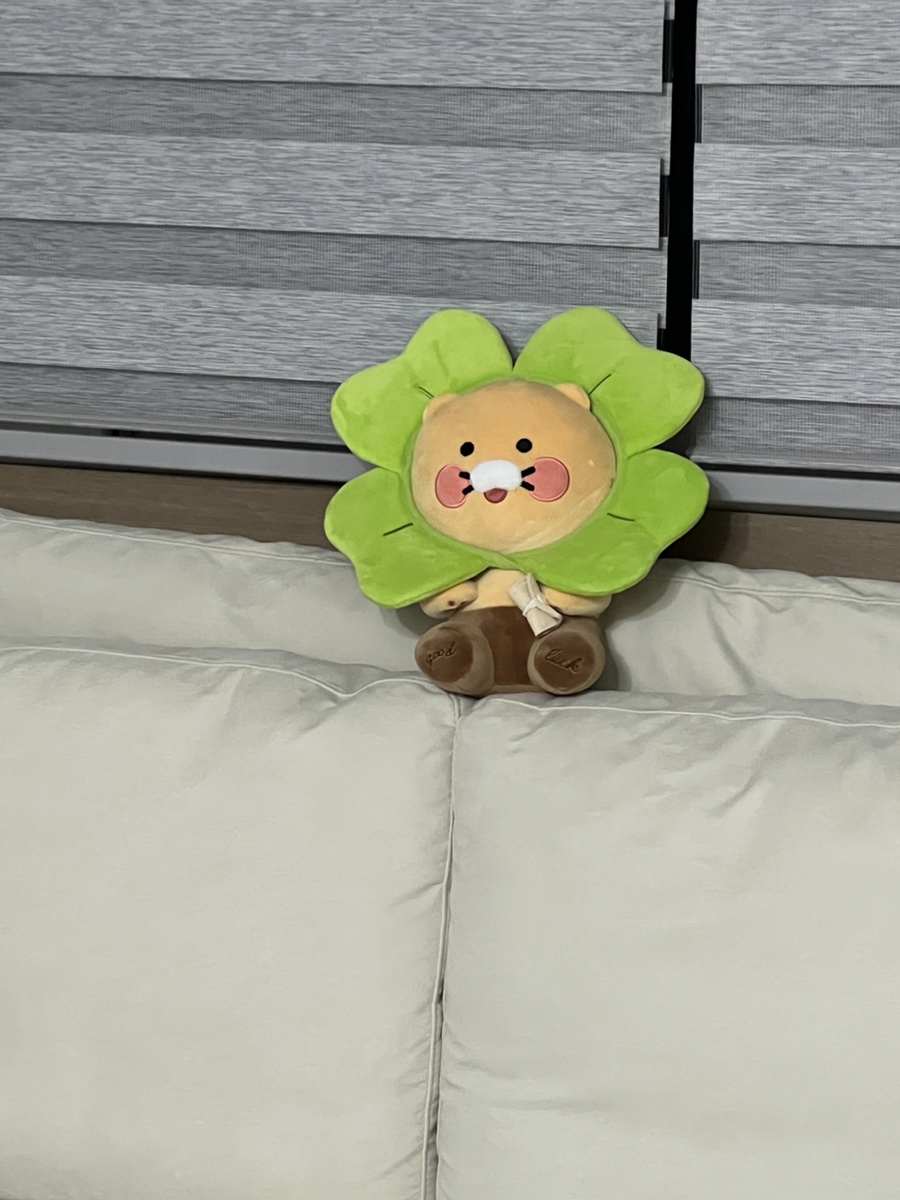 은정세탁 이미지