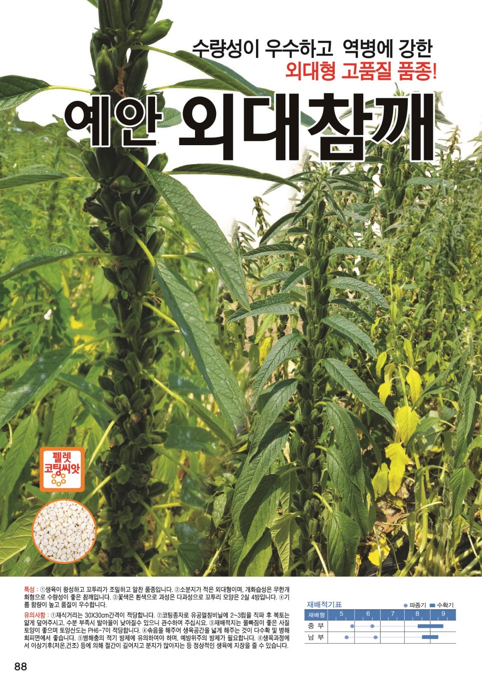 예안슈퍼 이미지