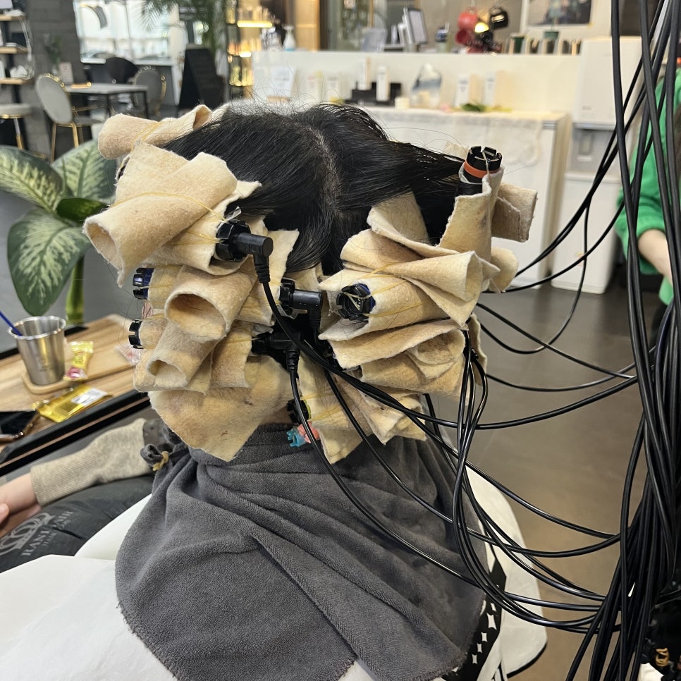 라니헤어 이미지