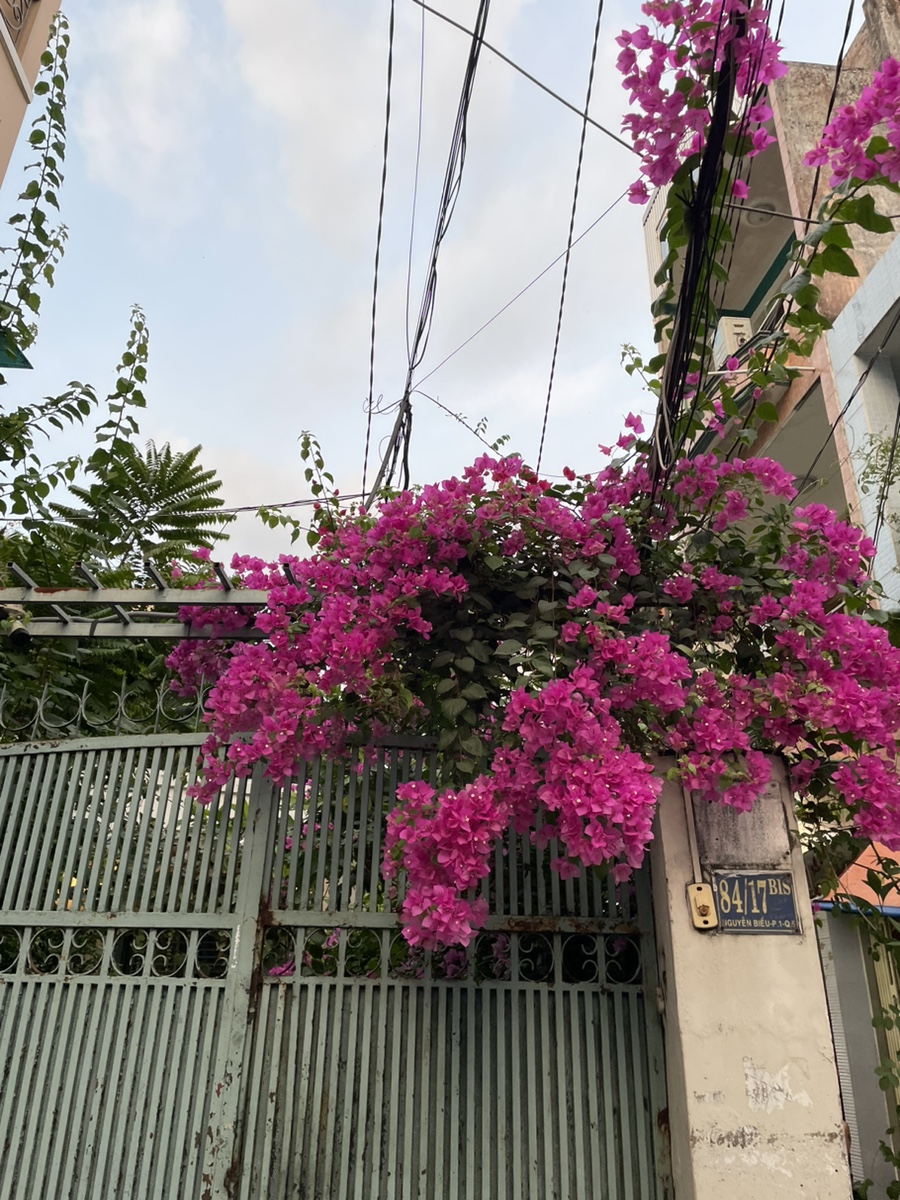 바바트립 이미지