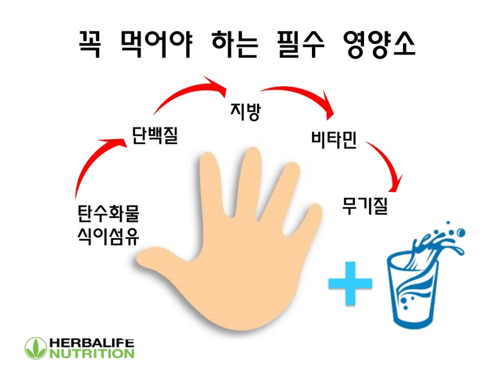 나르샤점핑 이미지