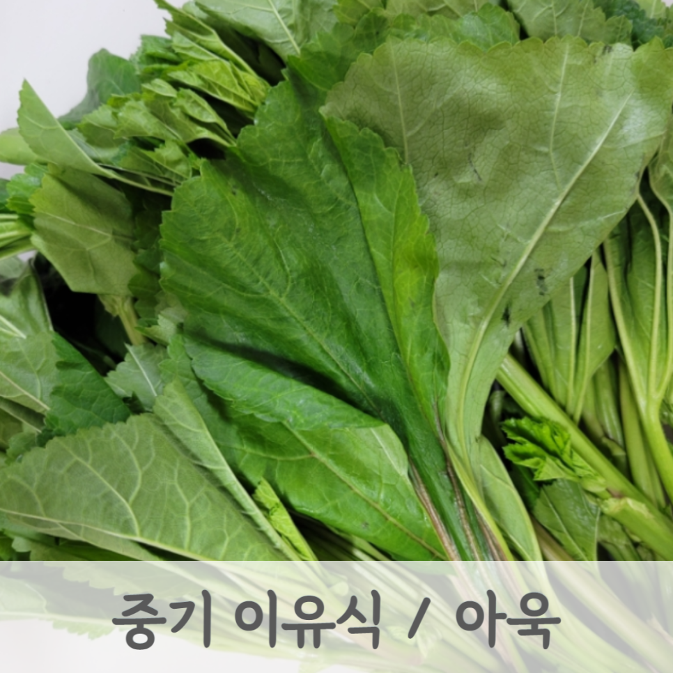 모도리베이비 이미지