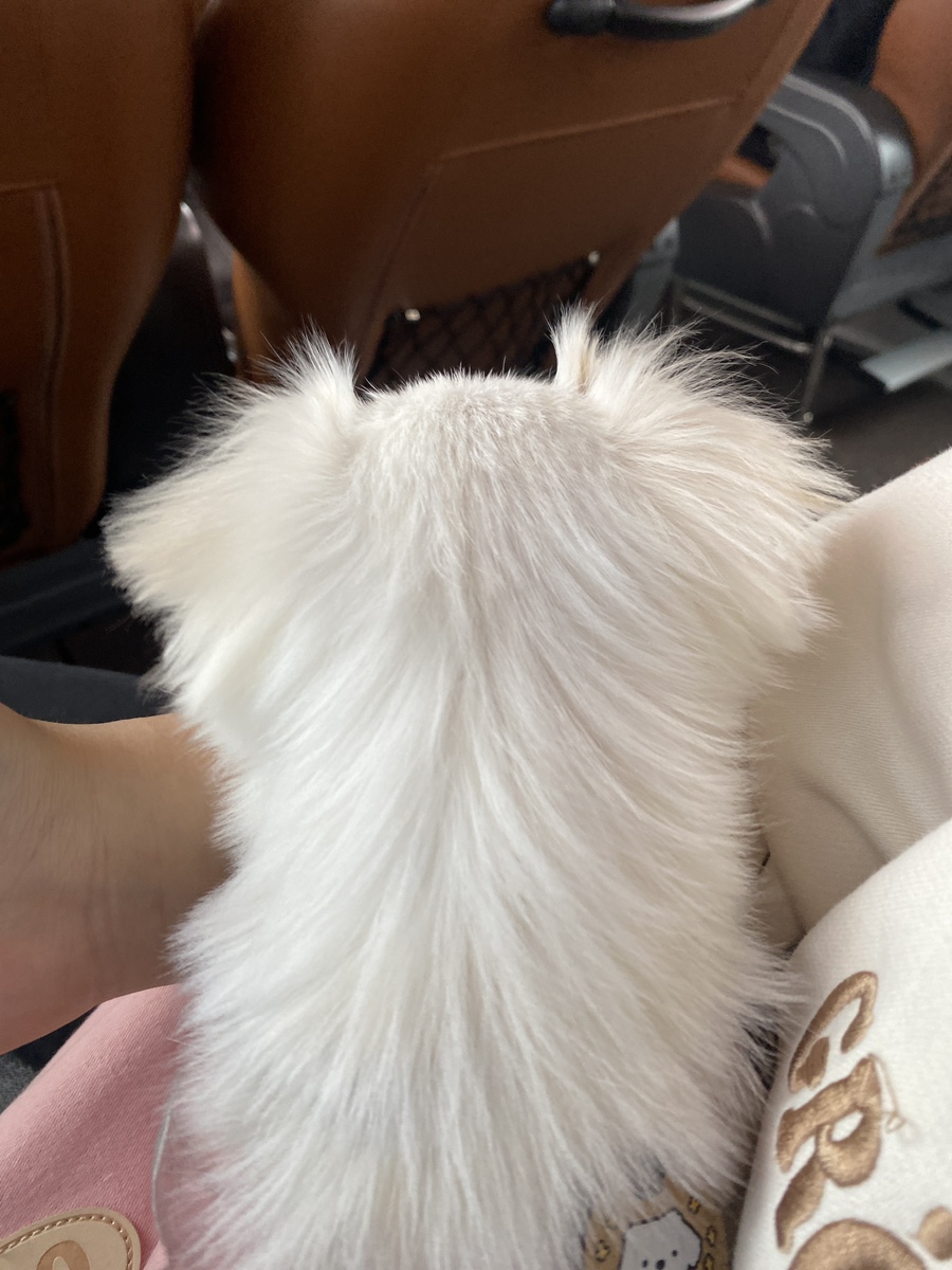 노래꽃피는마을 이미지
