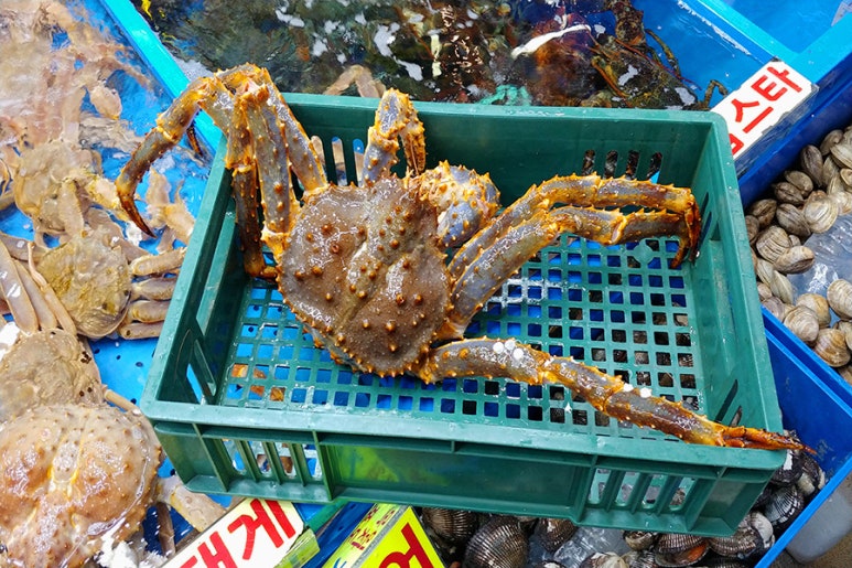 가락활어회센터 이미지