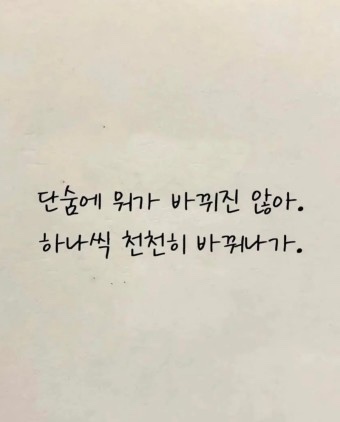 와타빈 이미지