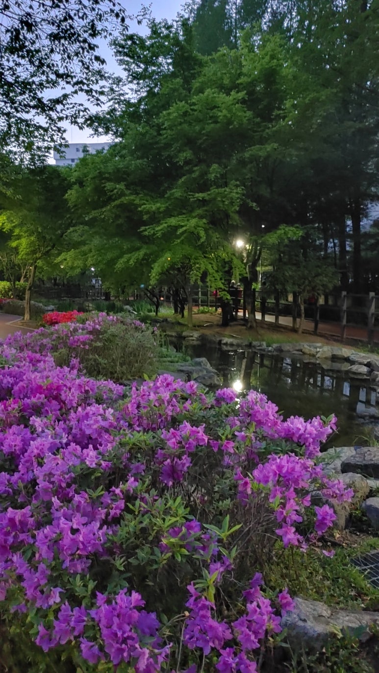 꽃동산문구 이미지
