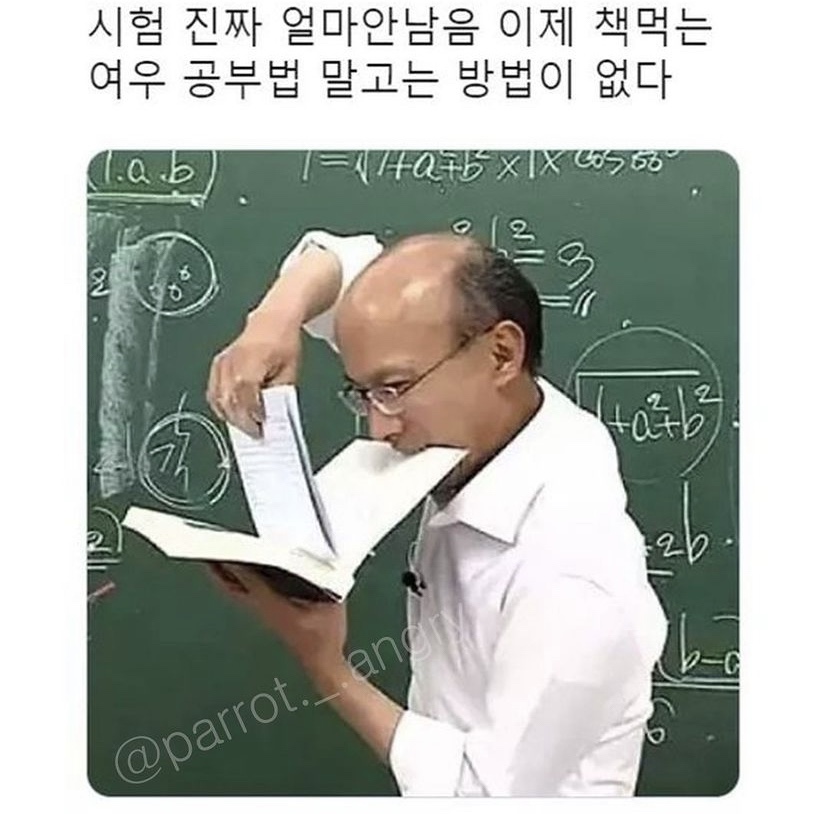 낭만실조 이미지