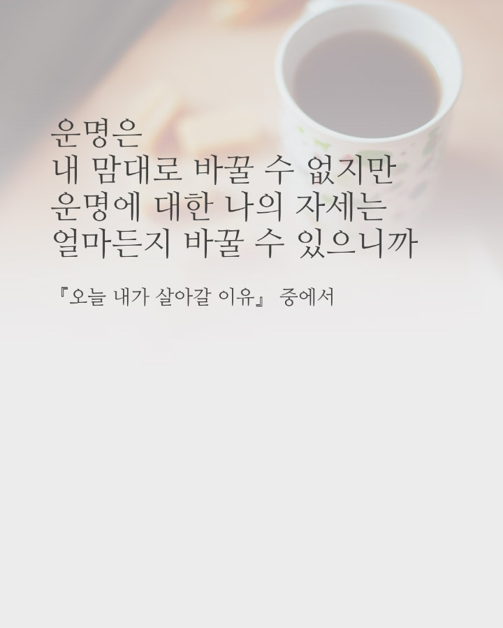 수갤러리 이미지