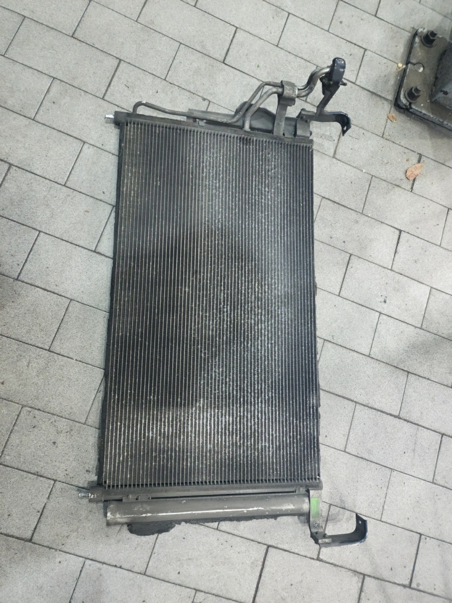 정일카센타 이미지