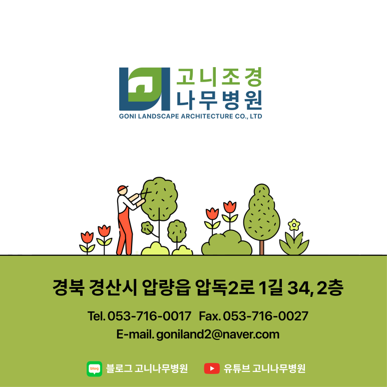 달성나무병원 이미지