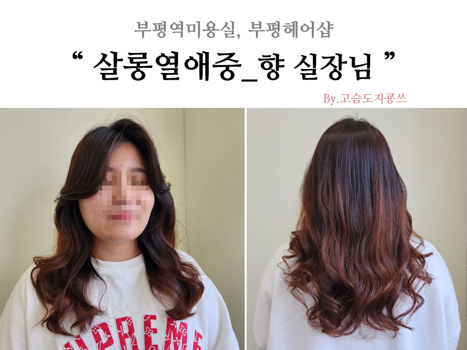살롱열애중 이미지