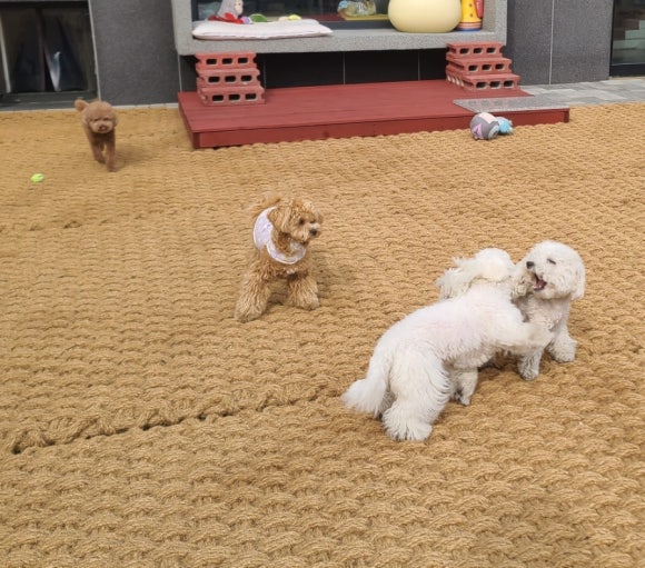 홍스테이션 이미지