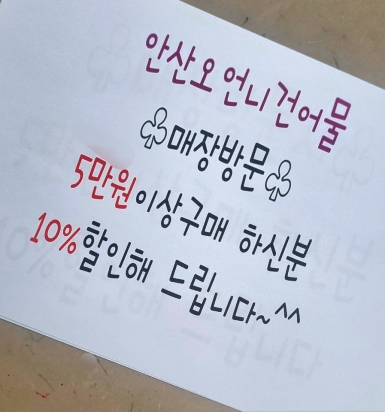 오징어파는언니 이미지