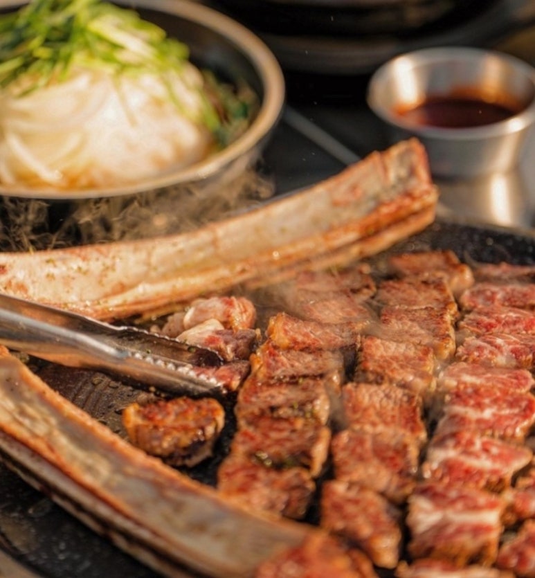 저녁숲 이미지