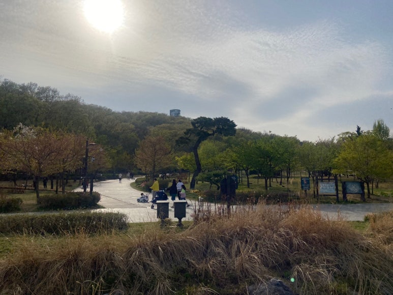 꿈에365레스토랑 이미지
