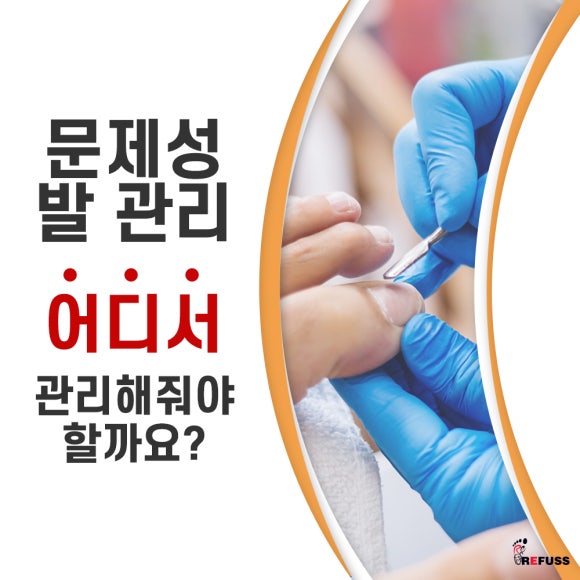 레푸스전주 이미지