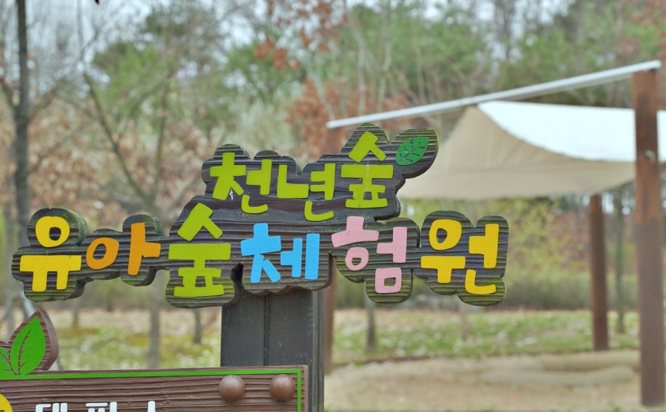 천년숲 유아숲체험원 이미지