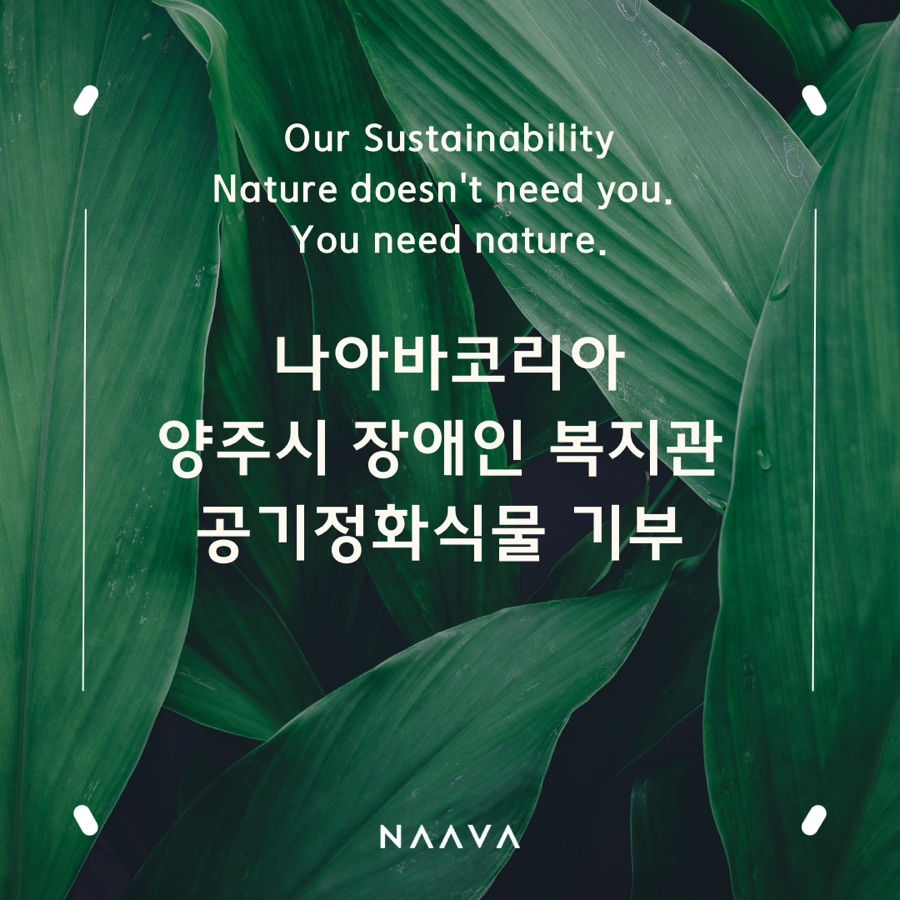 아바헬스 이미지