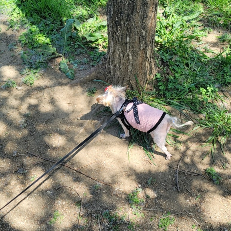 베이킹공방 이미지